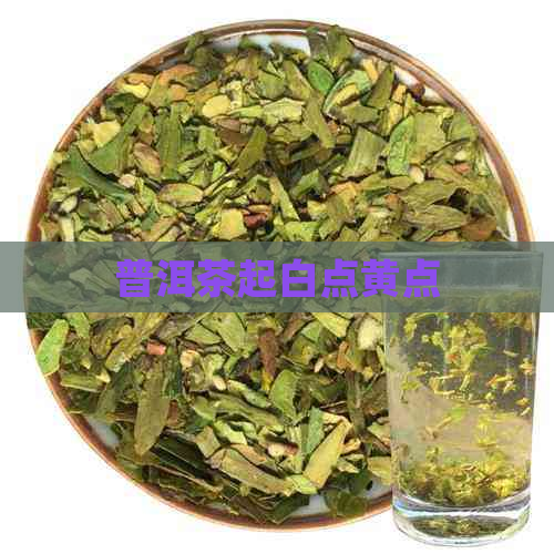 普洱茶起白点黄点