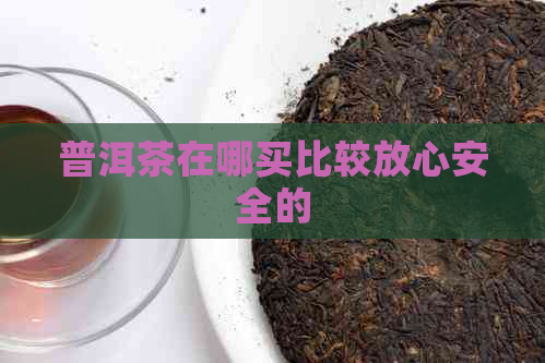 普洱茶在哪买比较放心安全的