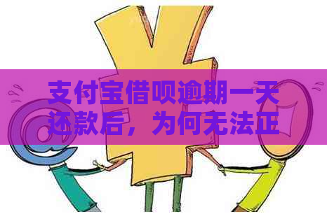 支付宝借呗逾期一天还款后，为何无法正常使用？解决办法是什么？