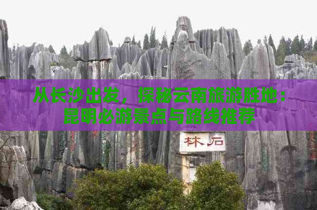 从长沙出发，探秘云南旅游胜地：昆明必游景点与路线推荐