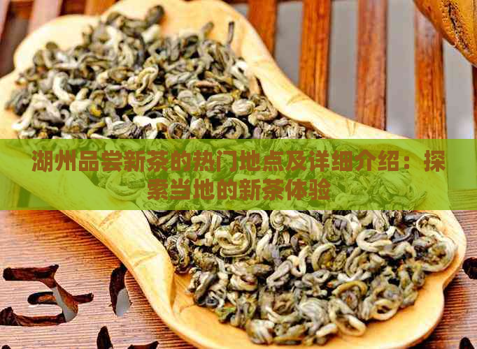 湖州品尝新茶的热门地点及详细介绍：探索当地的新茶体验