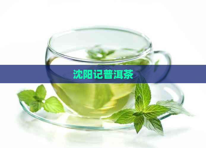 沈阳记普洱茶