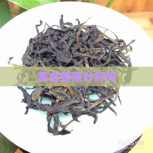 黄金螺茶叶好吗