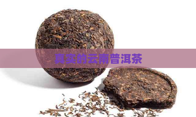 真实的云南普洱茶