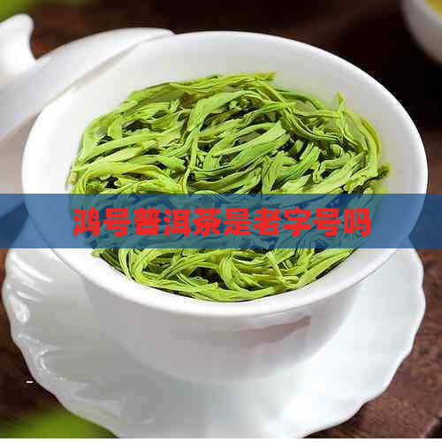 鸿号普洱茶是老字号吗