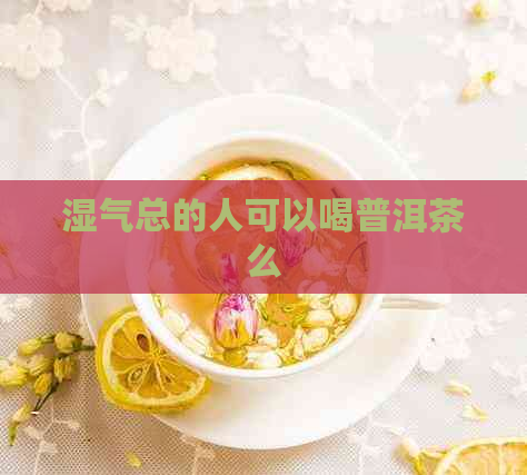 湿气总的人可以喝普洱茶么