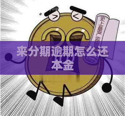 来分期逾期怎么还本金