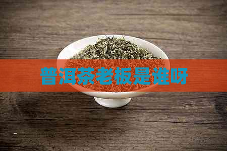 普洱茶老板是谁呀