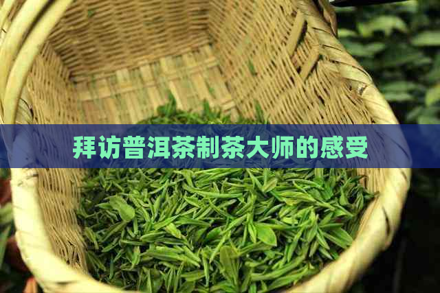 拜访普洱茶制茶大师的感受