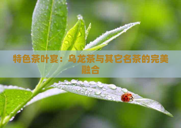 特色茶叶宴：乌龙茶与其它名茶的完美融合