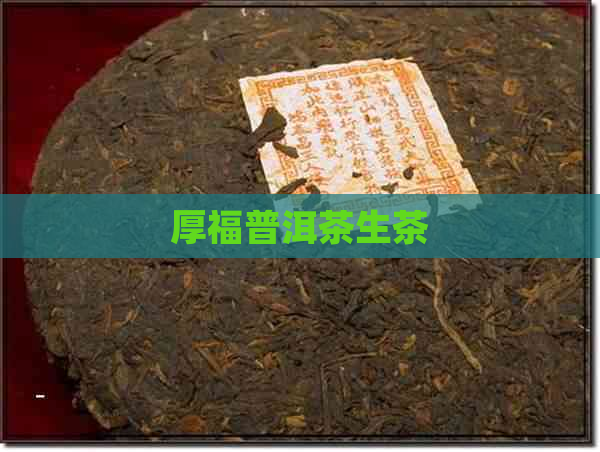 厚福普洱茶生茶