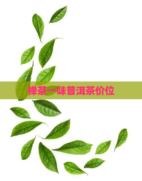 禅茶一味普洱茶价位