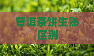 普洱茶饼生熟区别