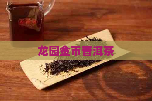 龙园金币普洱茶