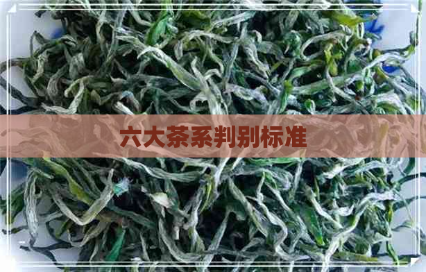 六大茶系判别标准