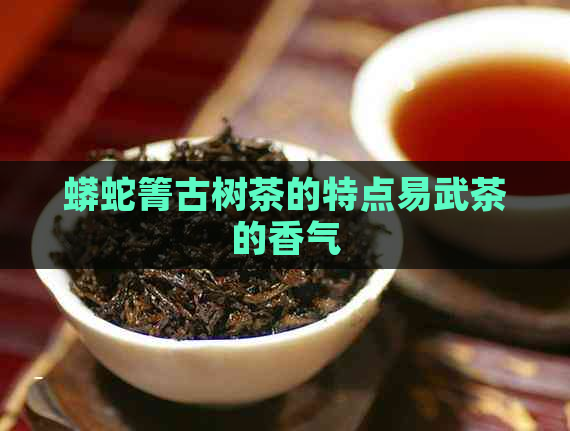 蟒蛇箐古树茶的特点易武茶的香气