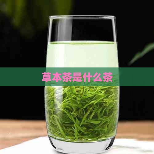 草本茶是什么茶