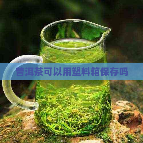 普洱茶可以用塑料箱保存吗