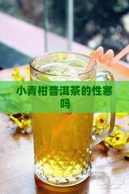 小青柑普洱茶的性寒吗