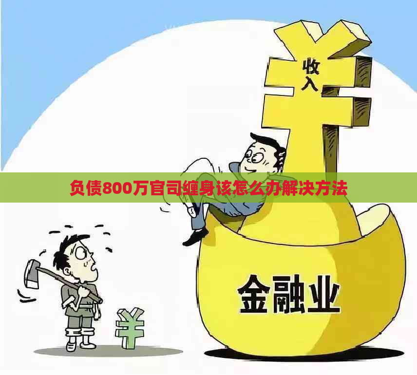 负债800万官司缠身该怎么办解决方法