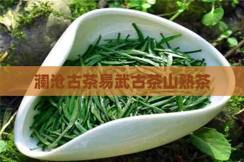 澜沧古茶易武古茶山熟茶