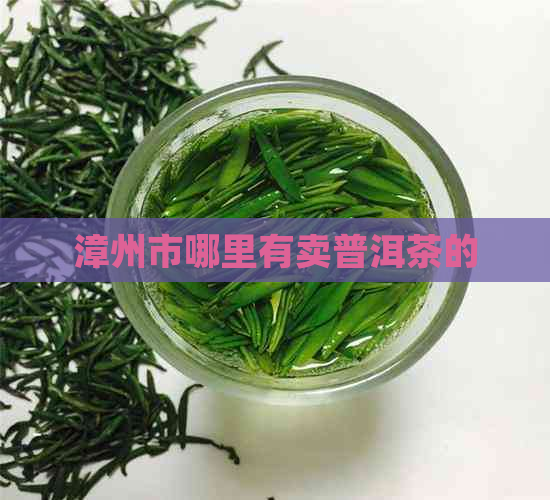 漳州市哪里有卖普洱茶的