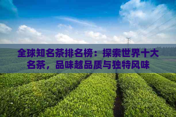 全球知名茶排名榜：探索世界十大名茶，品味越品质与独特风味