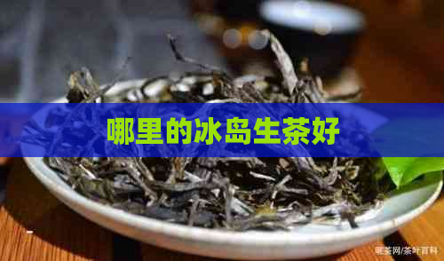 哪里的冰岛生茶好