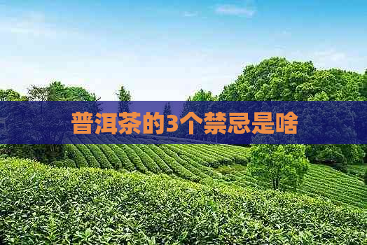 普洱茶的3个禁忌是啥