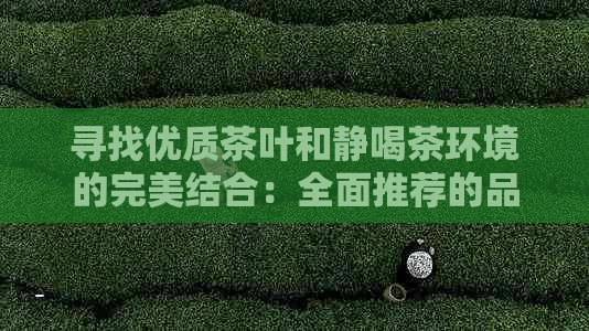 寻找优质茶叶和静喝茶环境的完美结合：全面推荐的品茗胜地与指南