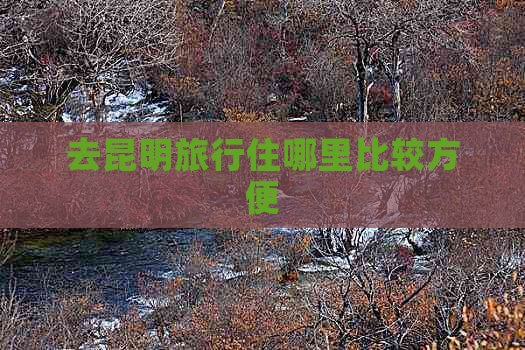 去昆明旅行住哪里比较方便