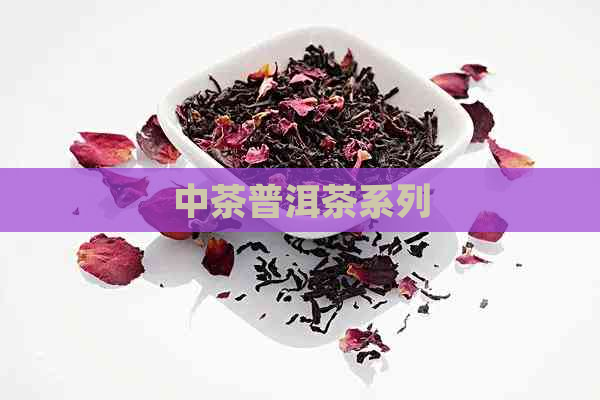 中茶普洱茶系列