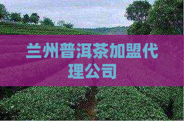 兰州普洱茶加盟代理公司