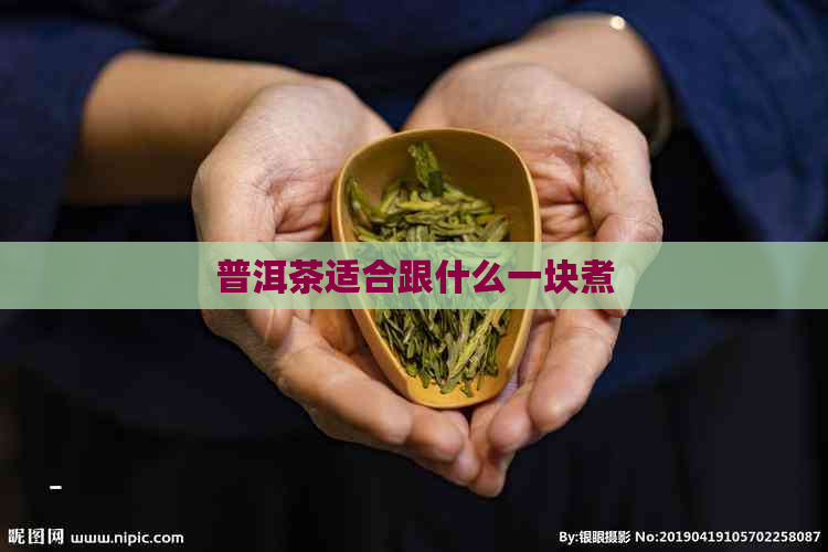 普洱茶适合跟什么一块煮