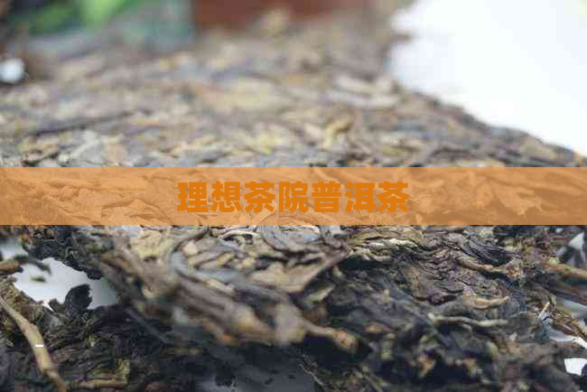 理想茶院普洱茶