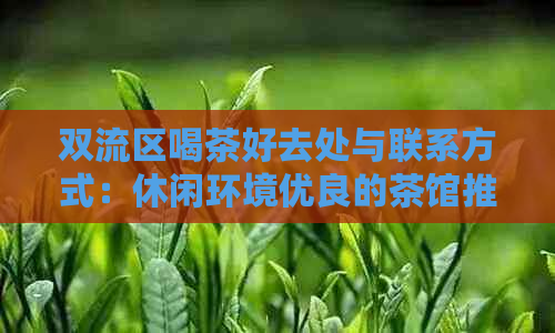 双流区喝茶好去处与联系方式：休闲环境优良的茶馆推荐