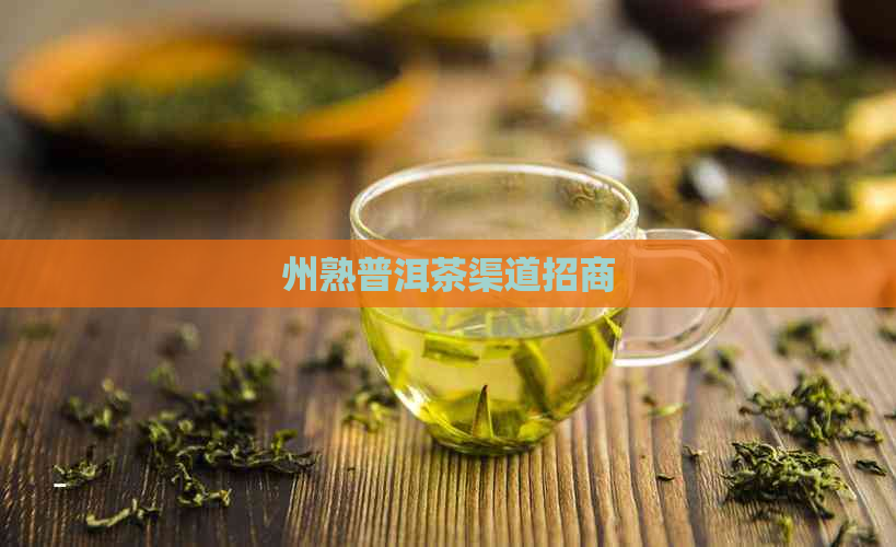 州熟普洱茶渠道招商