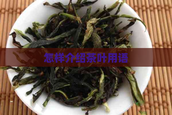 怎样介绍茶叶用语