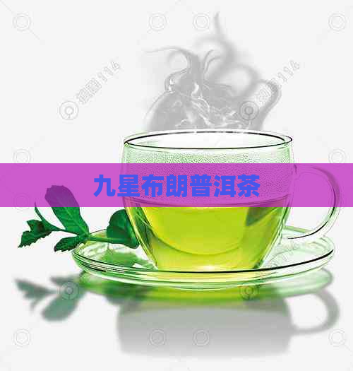 九星布朗普洱茶