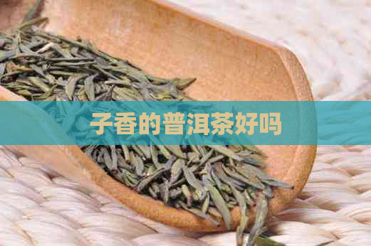 子香的普洱茶好吗