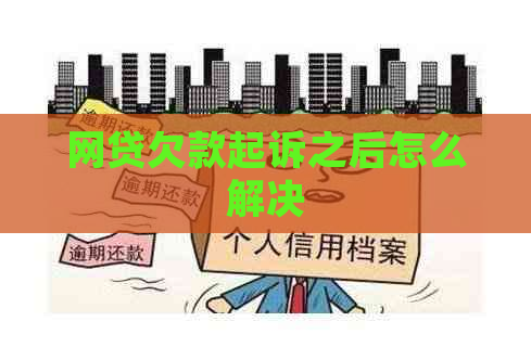 网贷欠款起诉之后怎么解决