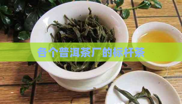 各个普洱茶厂的标杆茶