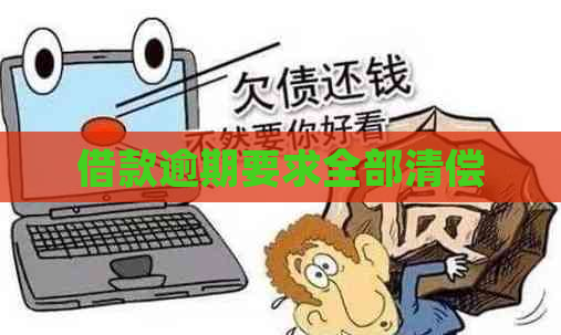 借款逾期要求全部清偿