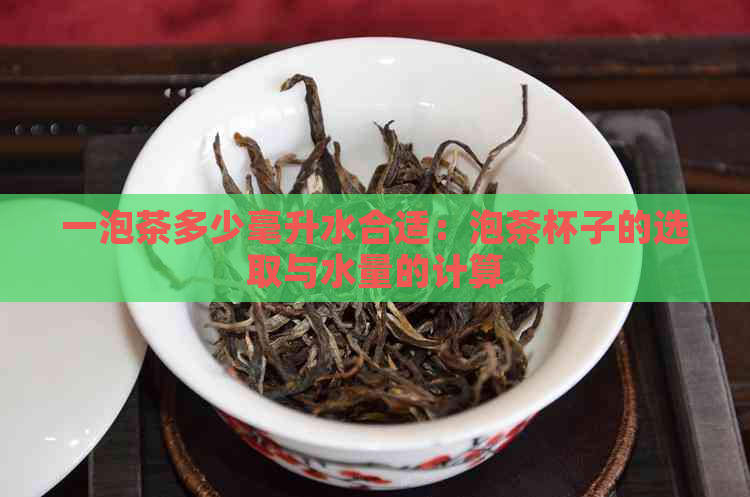 一泡茶多少毫升水合适：泡茶杯子的选取与水量的计算