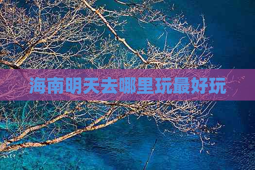 海南明天去哪里玩更好玩