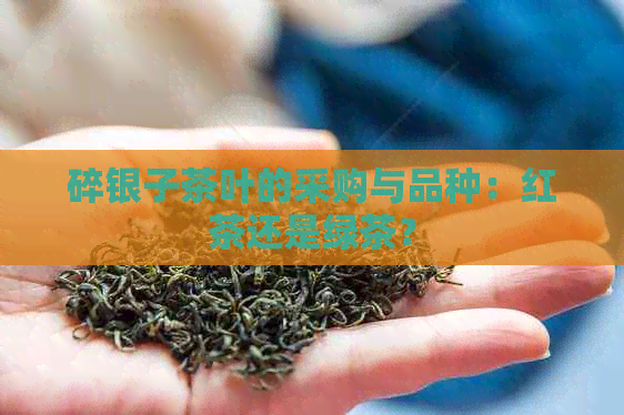 碎银子茶叶的采购与品种：红茶还是绿茶？