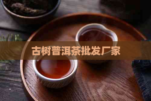 古树普洱茶批发厂家