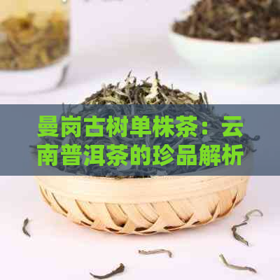 曼岗古树单株茶：云南普洱茶的珍品解析与口感特点