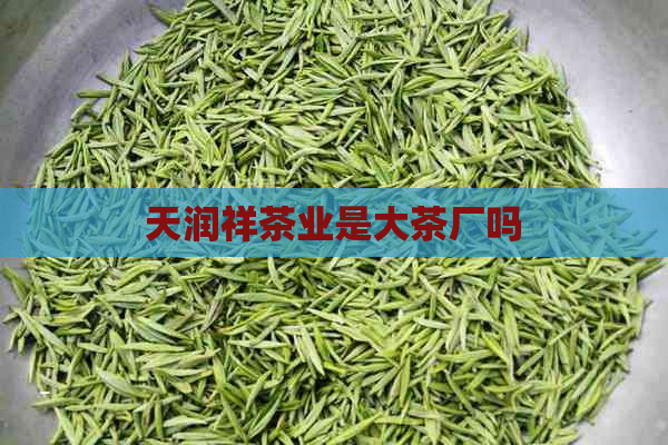 天润祥茶业是大茶厂吗