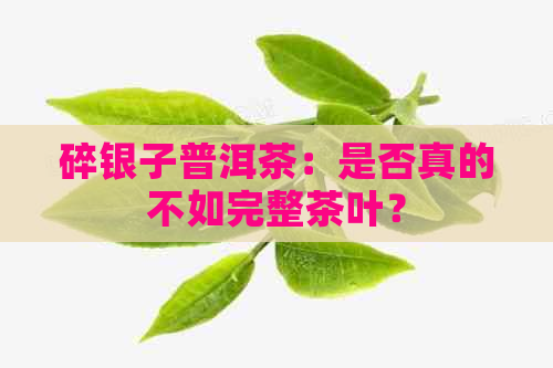 碎银子普洱茶：是否真的不如完整茶叶？